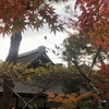 銀閣寺で紅葉狩り