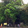 熊野紀行その5・飛瀧神社