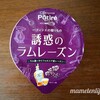 メイトー　Pâtiré 誘惑のラムレーズン　ラム好き大人のためのアイス！