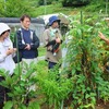 【無料公開用】自然菜園スクール『自然菜園見学コース』8/25（日）真夏の自然菜園見学　テーマ「自家採種」