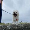 北海道45日目・・日本最北端の・・②　稚内〜天塩