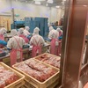 CMでおなじみの「かねふく めんたいパーク」（@茨城県大洗市）に行く