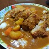 今日の晩飯　カレーライスを作ってみた