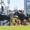 競馬初心者必見☆馬券予想🔥〜ラジオNIKKEI杯京都2歳ステークス〜購入馬券大公開㊙︎