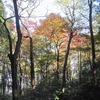 石神井城跡（東京都練馬区）