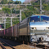 2月11日撮影　東海道線　根府川～真鶴間　③　貨物列車2本撮影　5097ㇾ　5060ㇾ