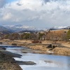 鴨川の冬景色と冬鳥たち