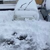 今年初の雪かき