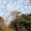 自分が創造した世界を見て楽しんでもらえると感動する