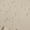 スモールステップに分解するので困ってるの？
