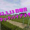 2022,3,13 日曜日 トラックバイアス予想 (中山競馬場、阪神競馬場、中京競馬場)