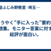 ”ようやく”手に入った”要約”の問題集。モニター答案に対する総評が面白い。