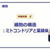 じじぃの「科学夜話・カルビン回路・植物における光合成の研究！わかるノーベル賞の本」