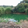宮谷溜池（千葉県南房総）