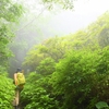 小暑に入る三辻遊山　山蟹