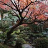 秋深まる京都、宝泉院。