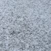 春の雪！もうすぐ4月ですが寒い日が続いています