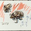 炎熱に　殻から出れず　昇天す