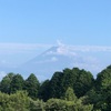 今朝の景色