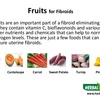 FIBROIDS DIET PLAN