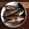 豆アジの酢醤油漬