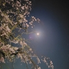 【幸せのエッセンス96〜夜に美しさを見つける〜】