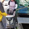 第7回成魚放流実施