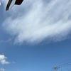 数日ぶりの青空！