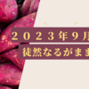 ２０２３年９月初旬、徒然なるがままに