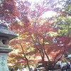 　京都観光