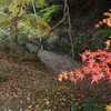 福知山線廃線跡の紅葉（3）