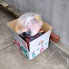 午後は輸出用の不要品の回収依頼が入りました。