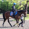 障害戦第2ラウンドのゴングは来週！？