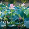 ３日連続30度