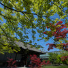 京都に青もみじを撮りに行きました　－勧修寺編－