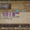 【ドラクエ10】パルから逃げちゃダメだ！【いや逃げるが勝ちよ？】
