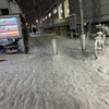 雪の日