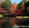 小石川後楽園