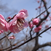 【2025年3月3日（月）から3月9日（日）のメッセージ】