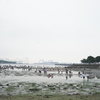 砂にまみれて無心になる！横浜で、はじめての潮干狩り