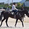 来週の出走へ向け、追い切りを再開する手前で右前脚の靭帯に張りを確認。来週の出走を見送り、ＮＦしがらきで立て直すことになりました。★アースコンチェルト