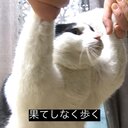 ちまへちま