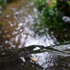 雨の日々