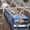1095レ 鹿島貨物(EF210-364) 【スマホ動画】