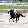 名古屋４戦目で自厩舎望月騎手を背に逃げて４馬身差快勝初勝利！