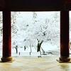 京都ぶらり　雪の京都　南禅寺