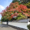 【京都】亀岡、『矢田天満宮』に行ってきました。 紅葉 女子旅