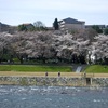 花見ラン(1)法島から桜橋のあたり