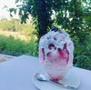 2025年夏の冷たいおやつ