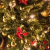 クリスマスを迎えた受験生にタイゴウくんとウカるんちゃんから1年に1回のプレゼント。